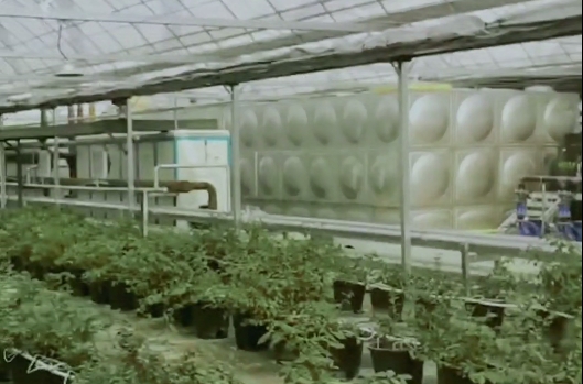 微信截图_20250730141950